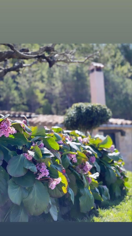 Masia Cap Del Roc Vallcebre Kültér fotó