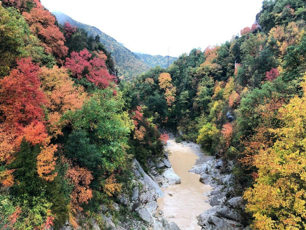 Masia Cap Del Roc Vallcebre Kültér fotó